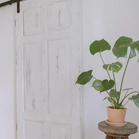 Alfreda * Sokolowsko