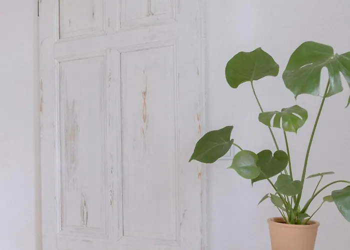 Alfreda * Sokolowsko