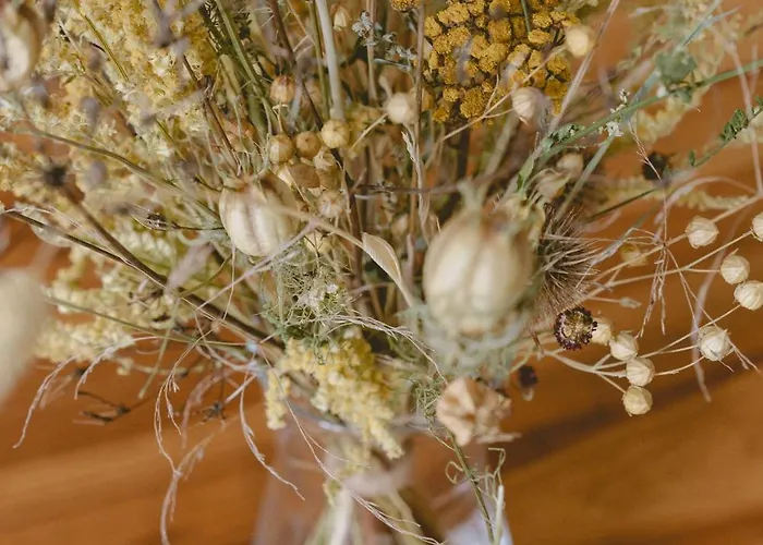 Alfreda * Sokolowsko